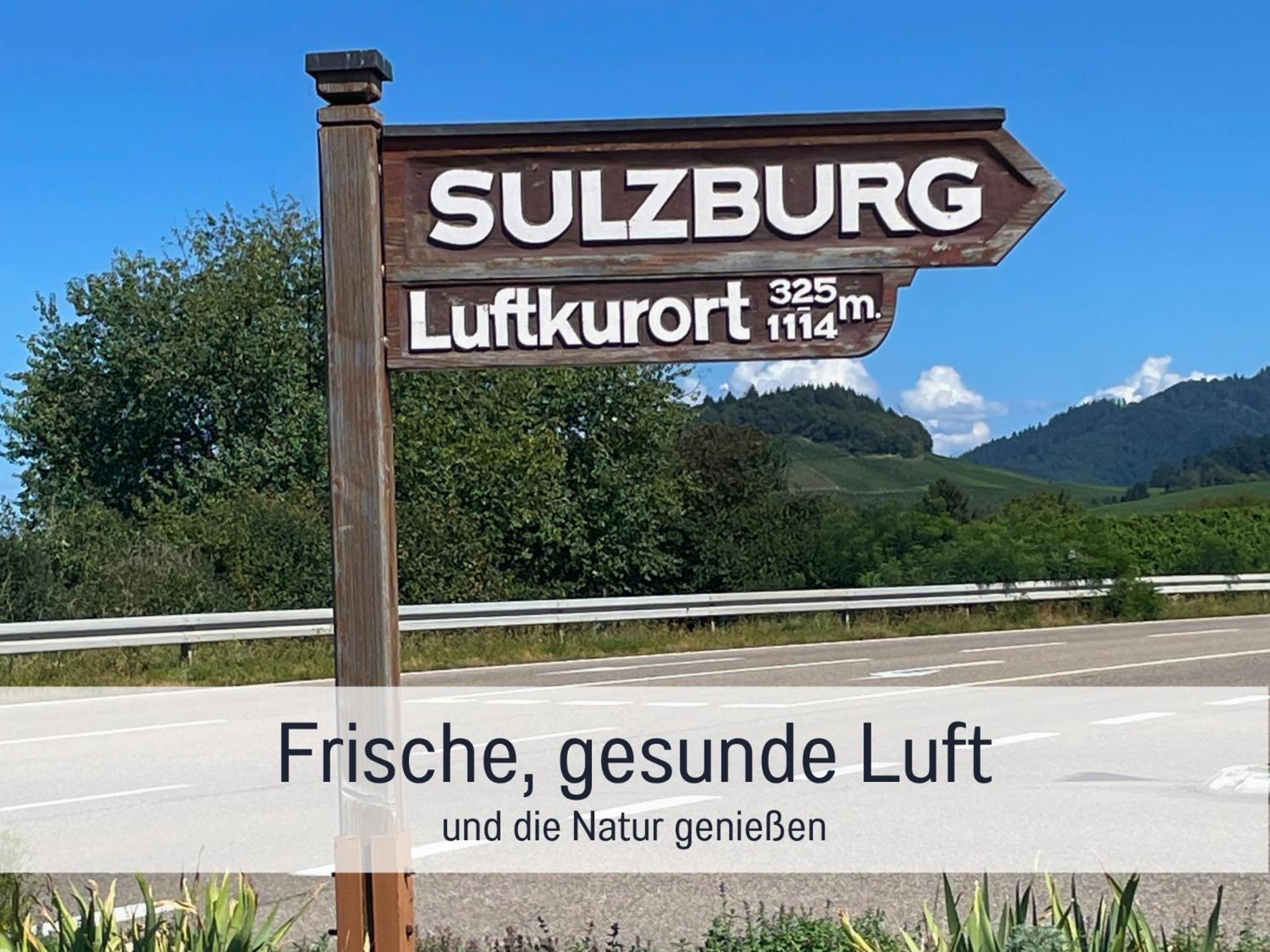 Ferienwohnungen Auszeit Langmatt Sulzburg Bagian luar foto