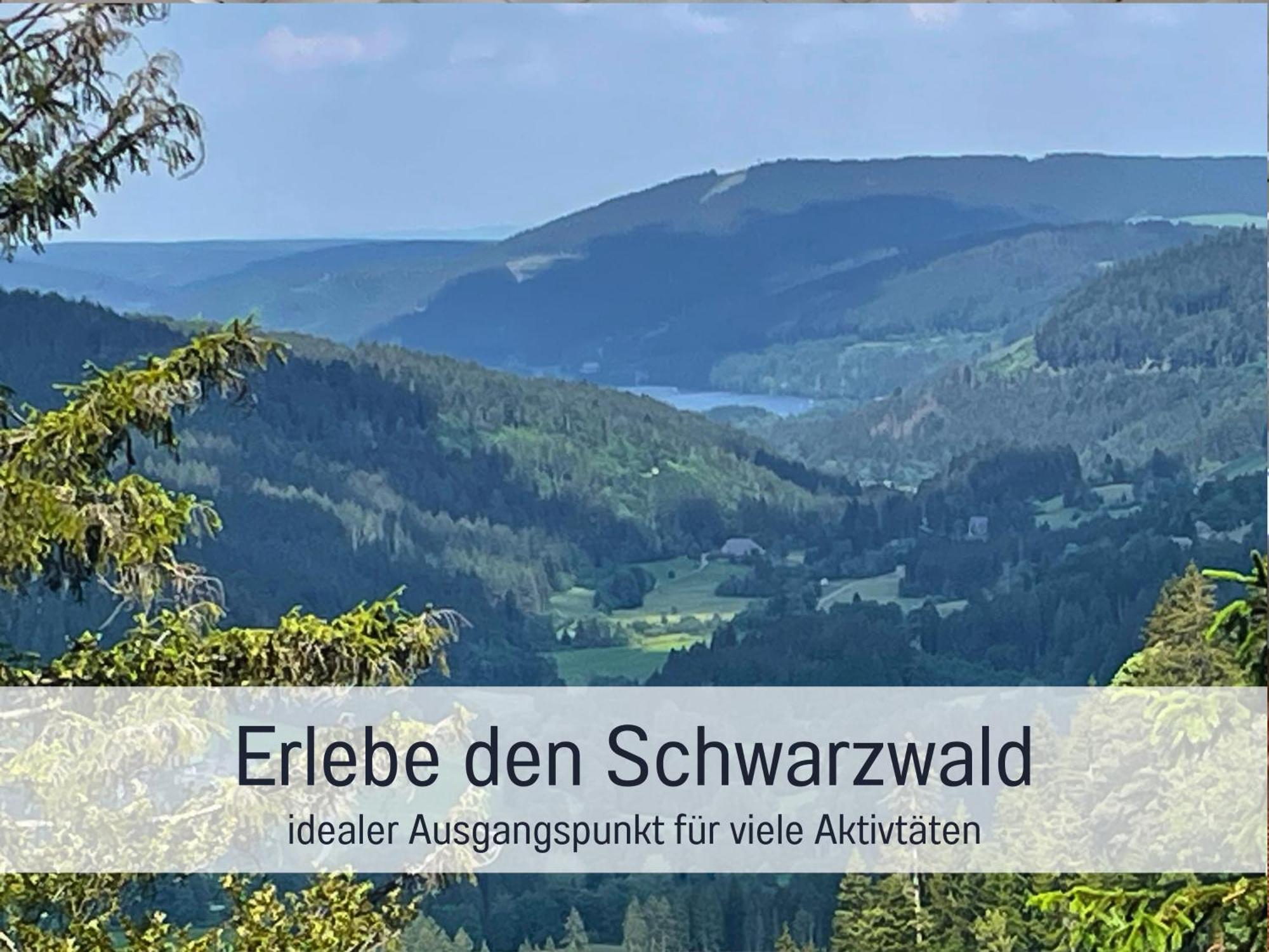 Ferienwohnungen Auszeit Langmatt Sulzburg Bagian luar foto