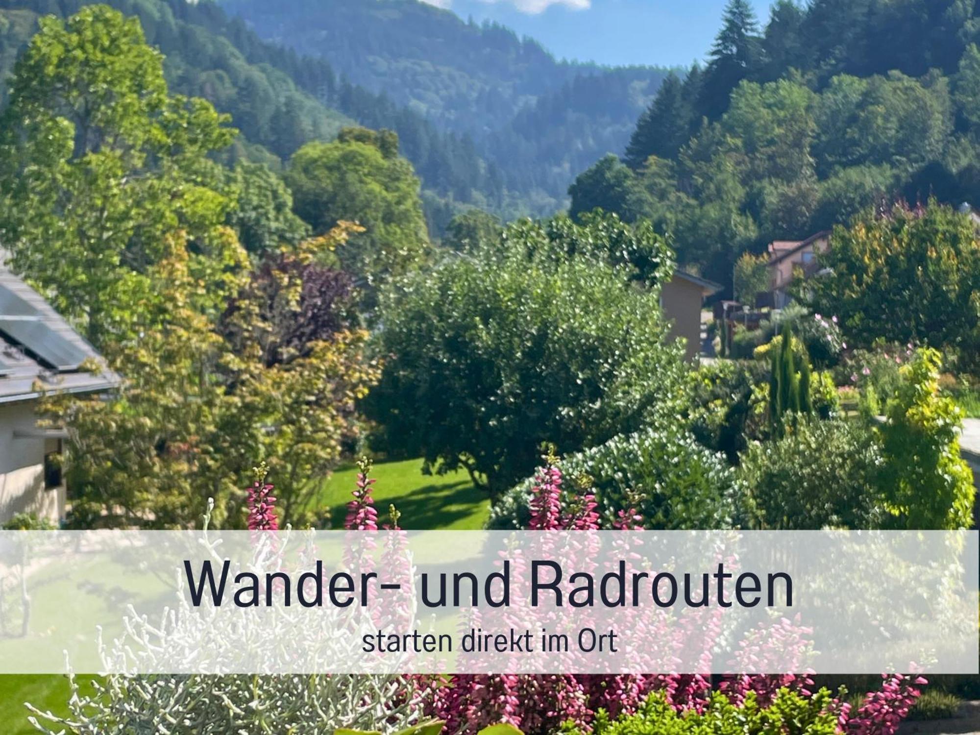 Ferienwohnungen Auszeit Langmatt Sulzburg Bagian luar foto
