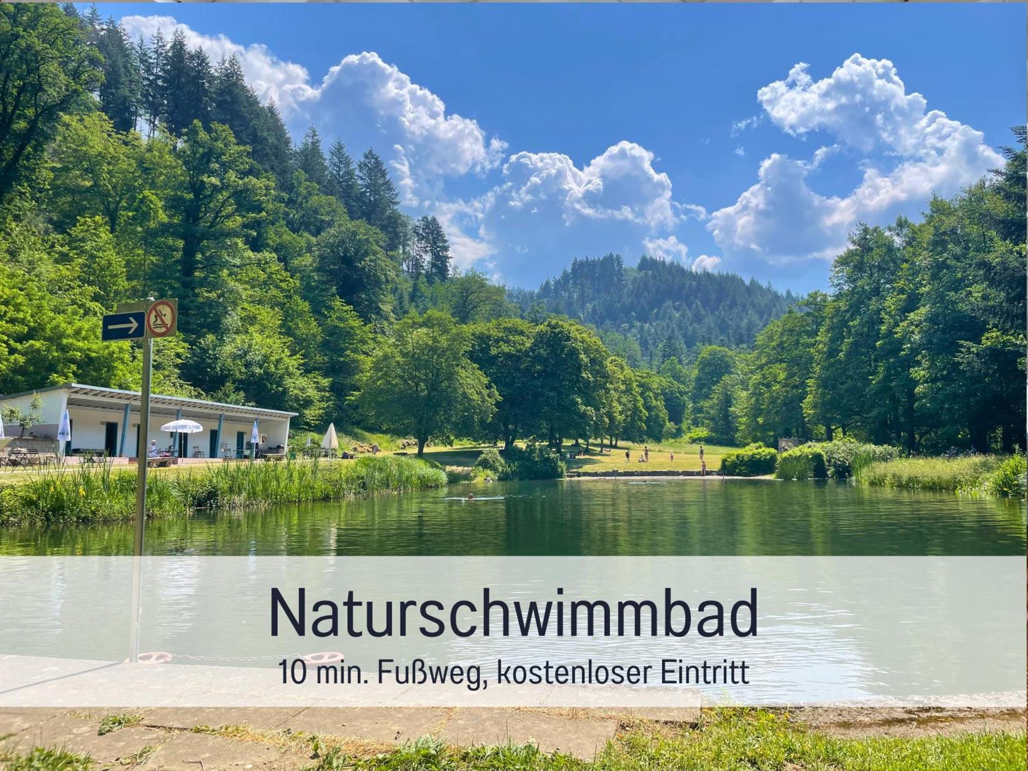 Ferienwohnungen Auszeit Langmatt Sulzburg Bagian luar foto