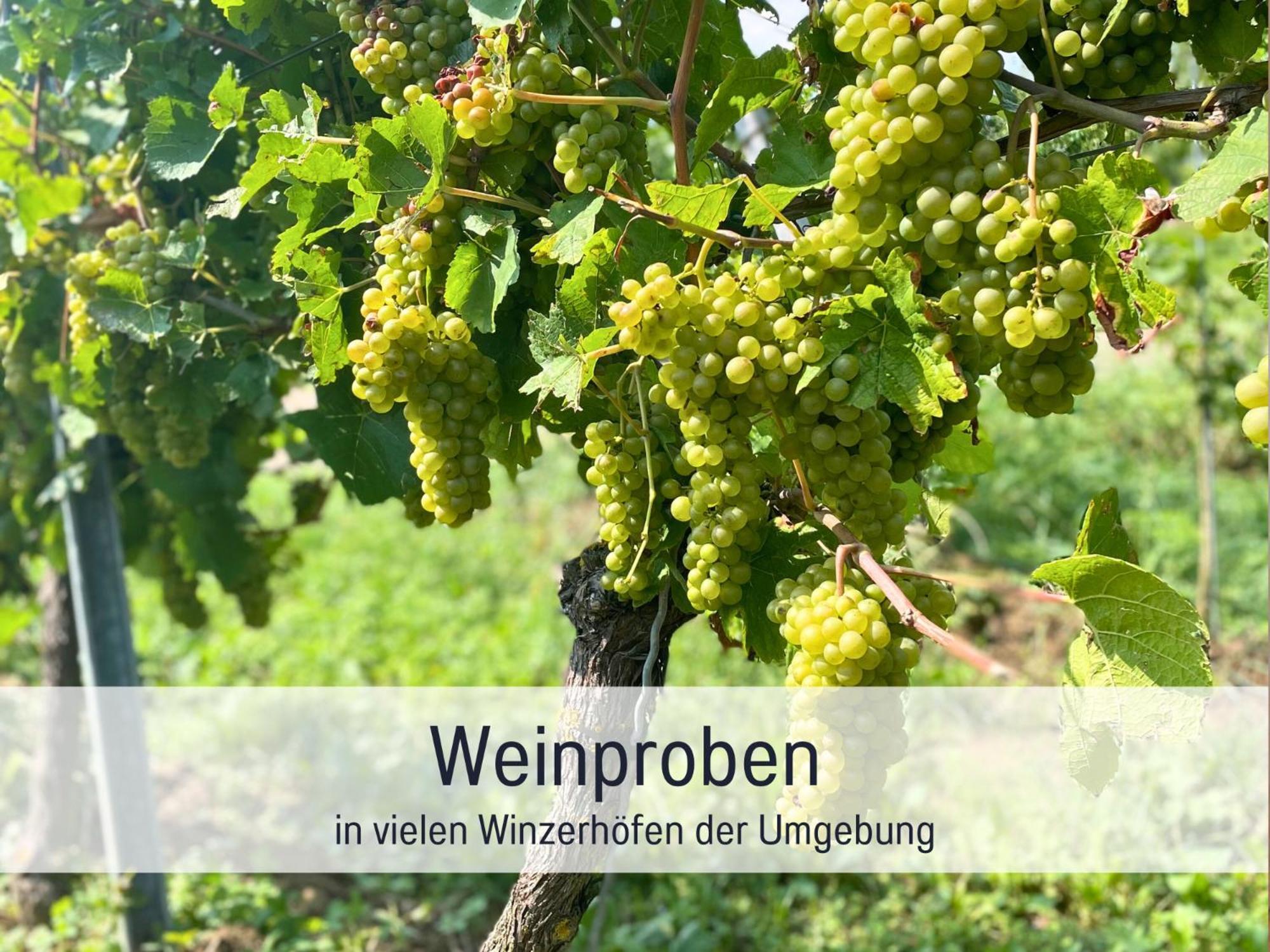 Ferienwohnungen Auszeit Langmatt Sulzburg Bagian luar foto