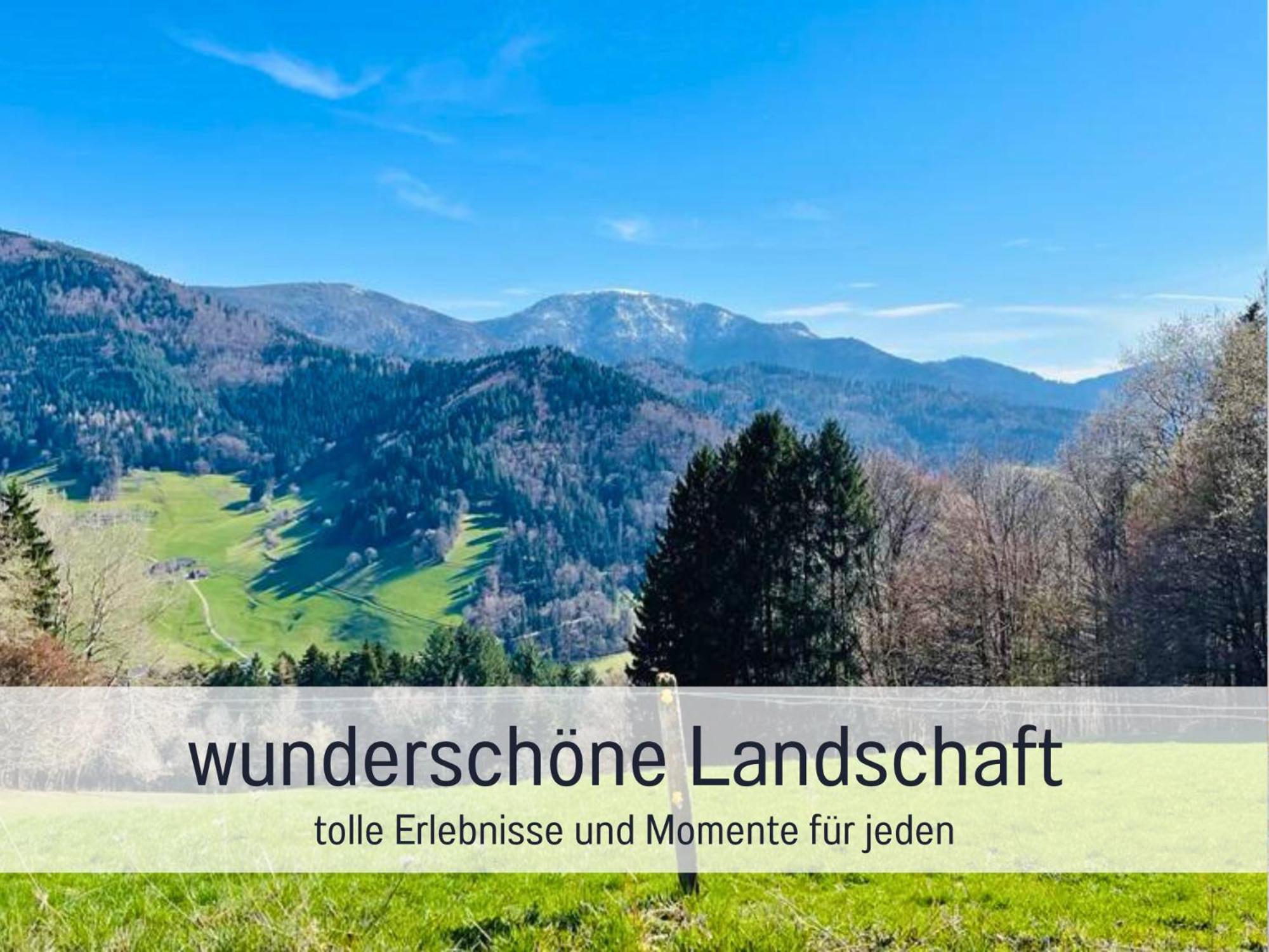 Ferienwohnungen Auszeit Langmatt Sulzburg Bagian luar foto