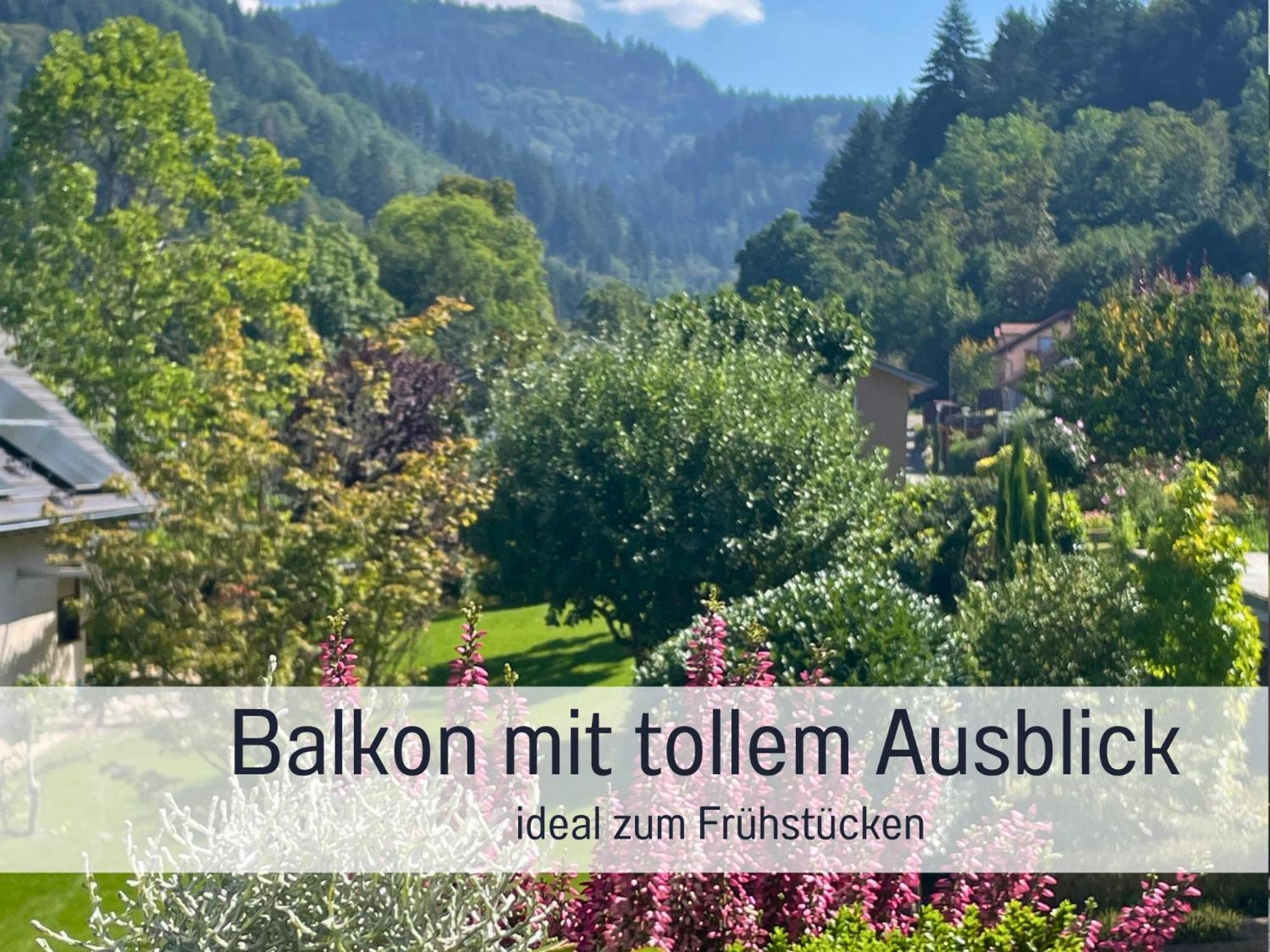 Ferienwohnungen Auszeit Langmatt Sulzburg Bagian luar foto